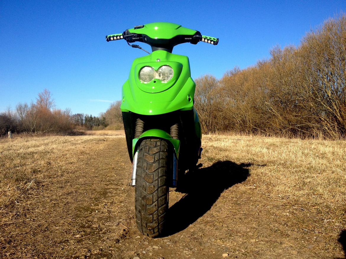 PGO HOT 50 Kawasaki edition Xenon billede 8