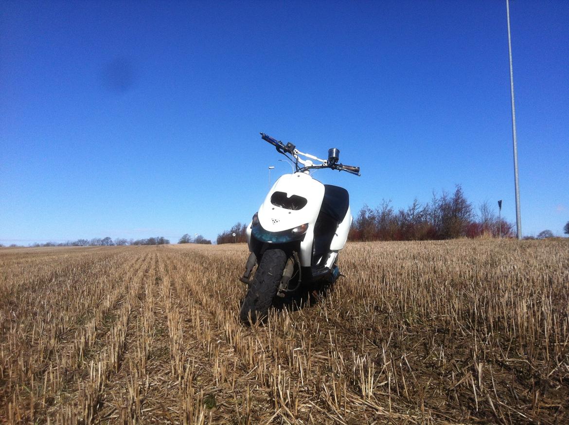 Gilera Stalker! Airbrush billede 8