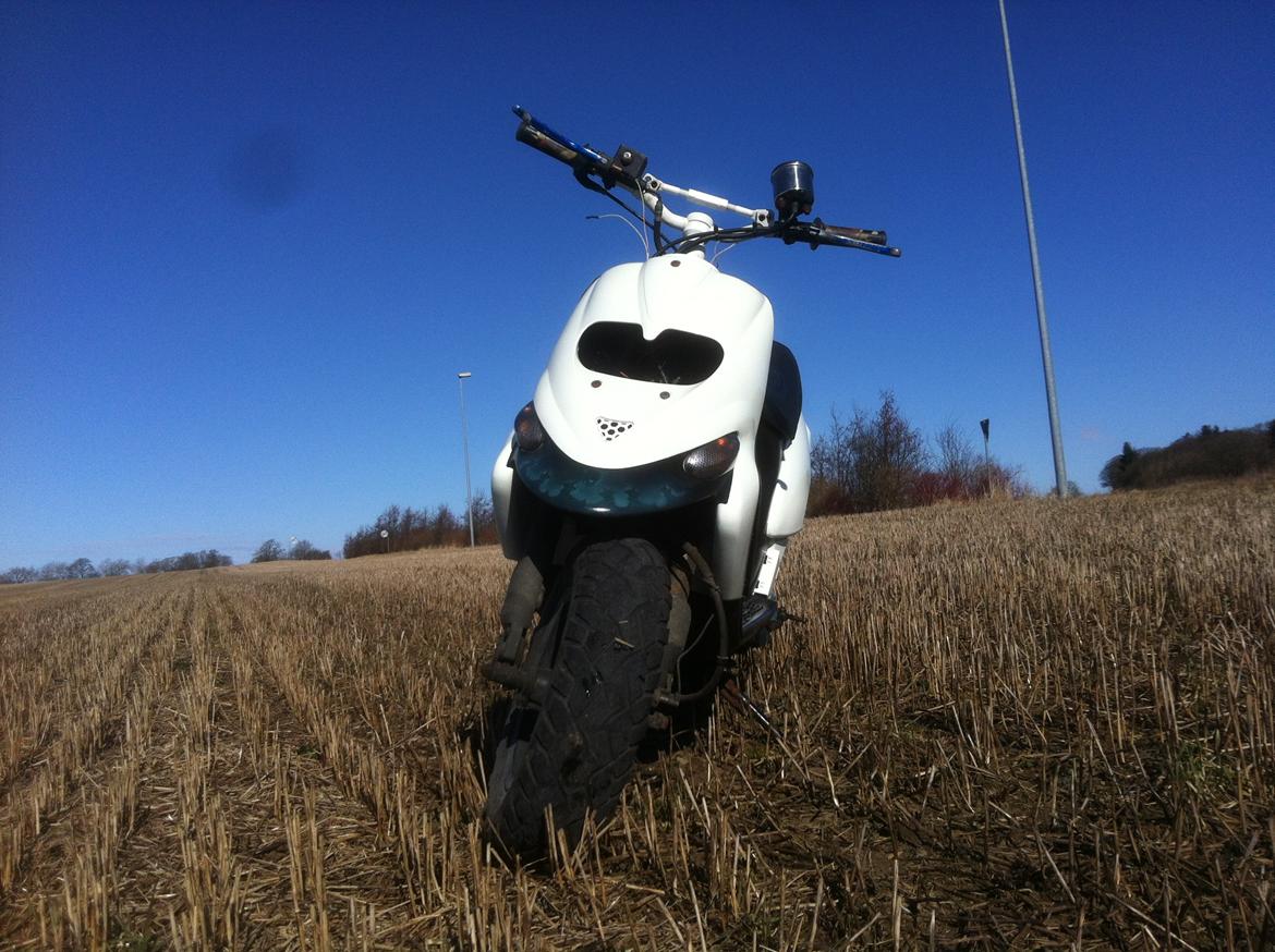 Gilera Stalker! Airbrush billede 9