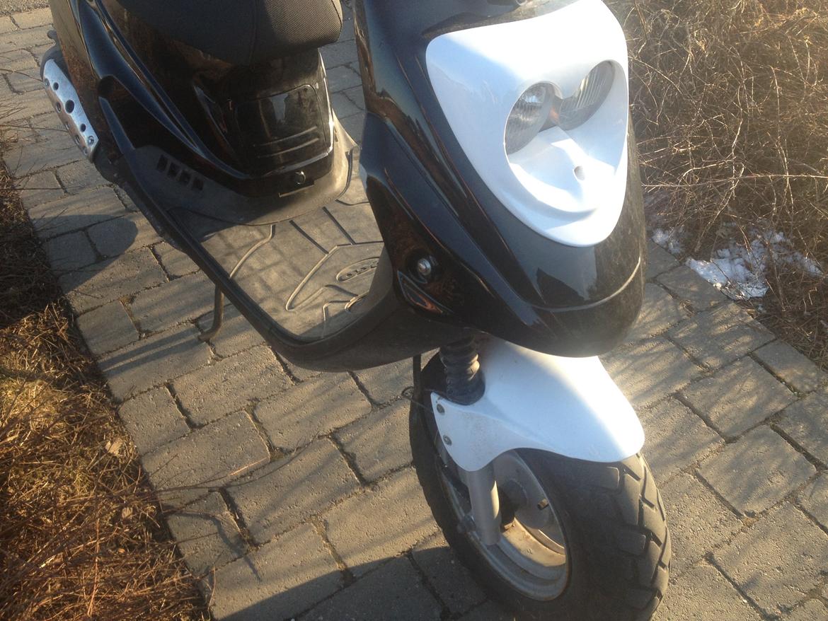 PGO Hot 50 - gammelt billede billede 8