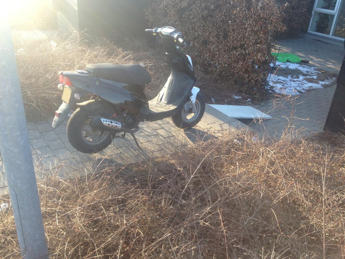 PGO Hot 50 - gammelt billede billede 11