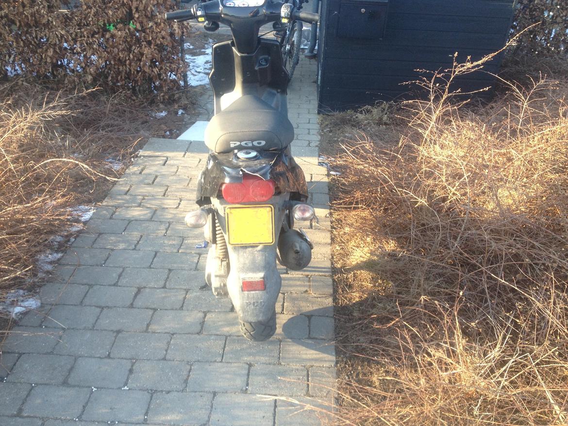 PGO Hot 50 - gammelt billede billede 12