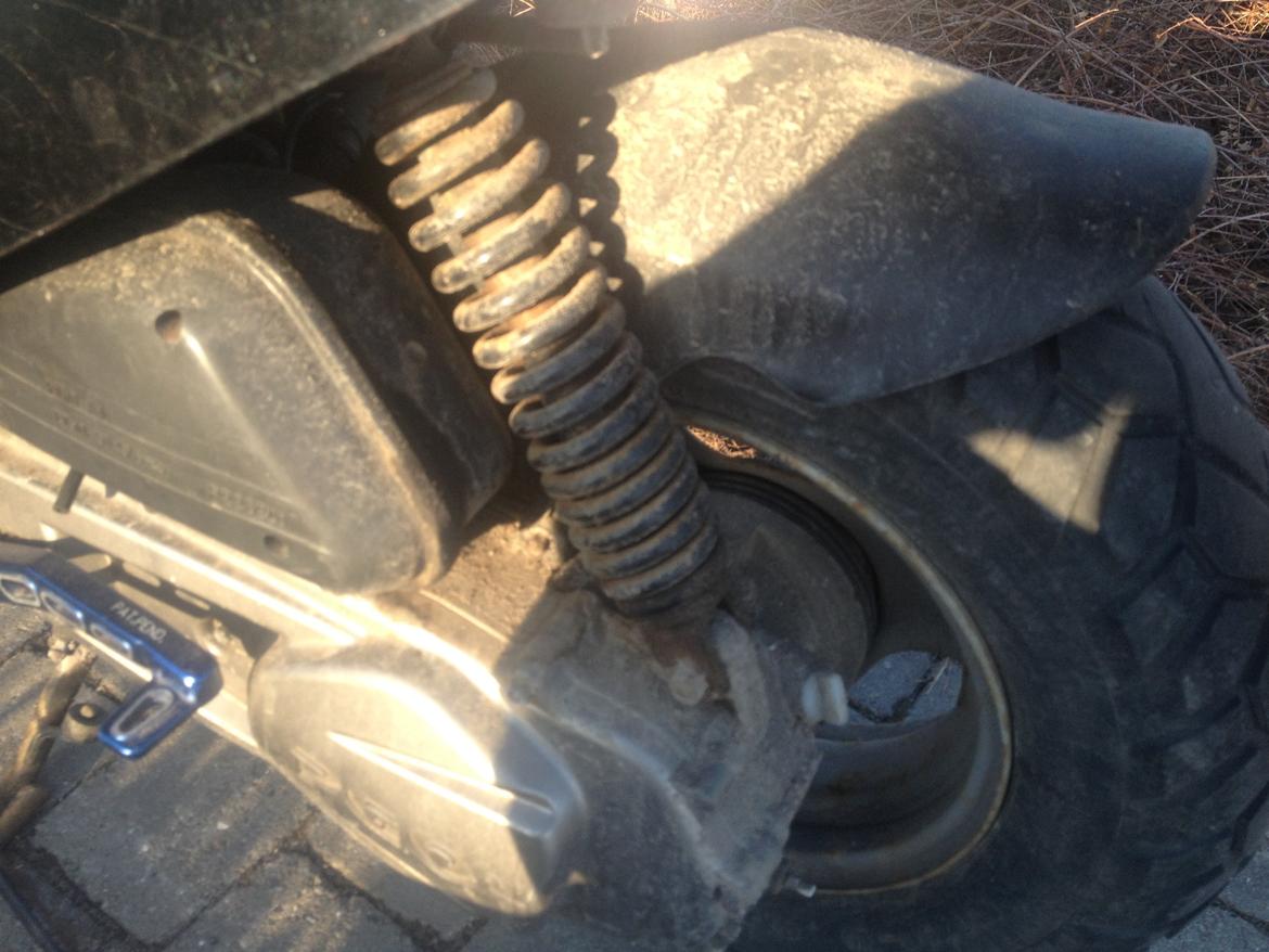 PGO Hot 50 - gammelt billede billede 15