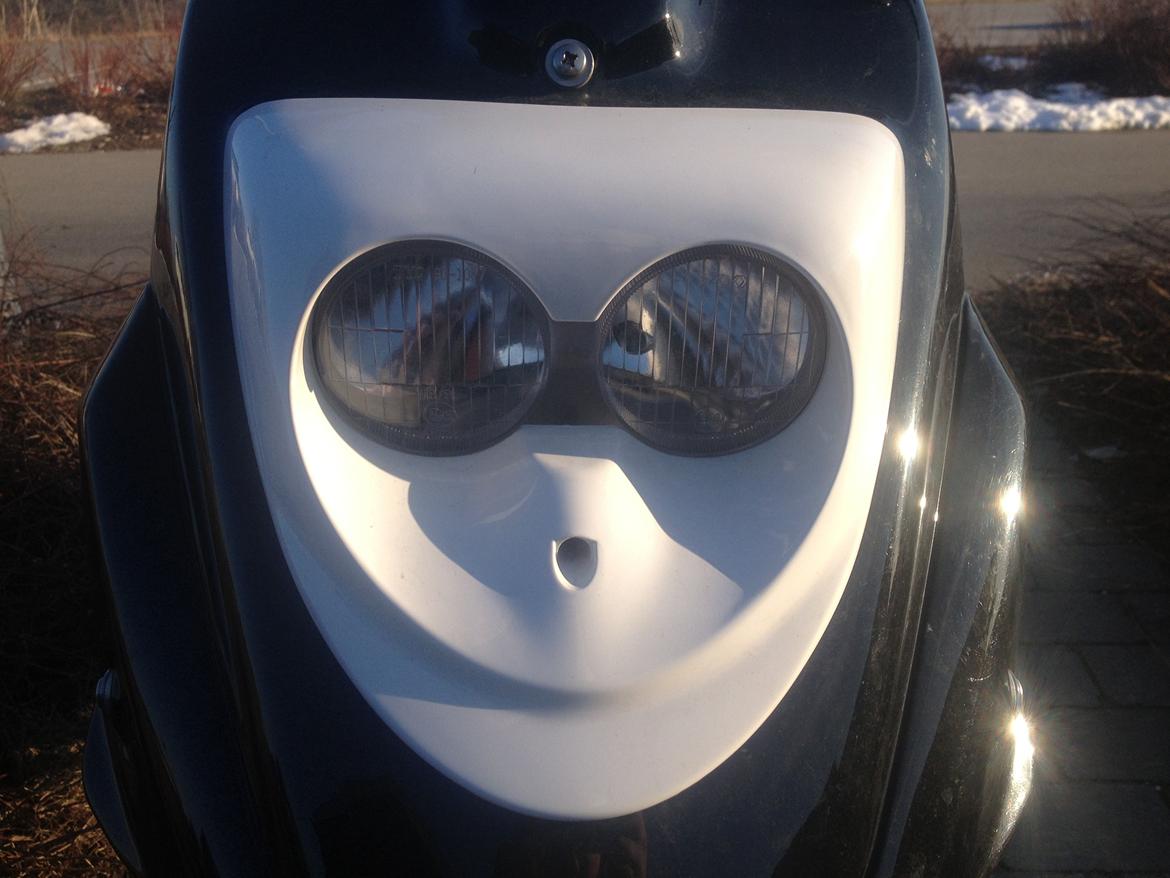 PGO Hot 50 - gammelt billede billede 16