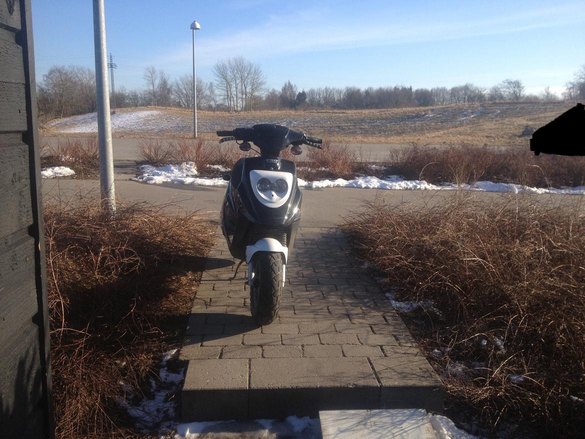 PGO Hot 50 - gammelt billede billede 17