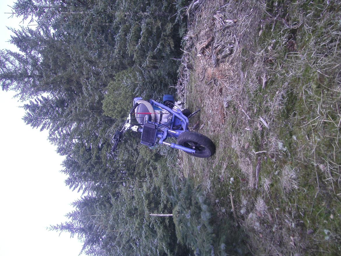 Honda sfx lc "speedline" (Rosekusse) billede 13