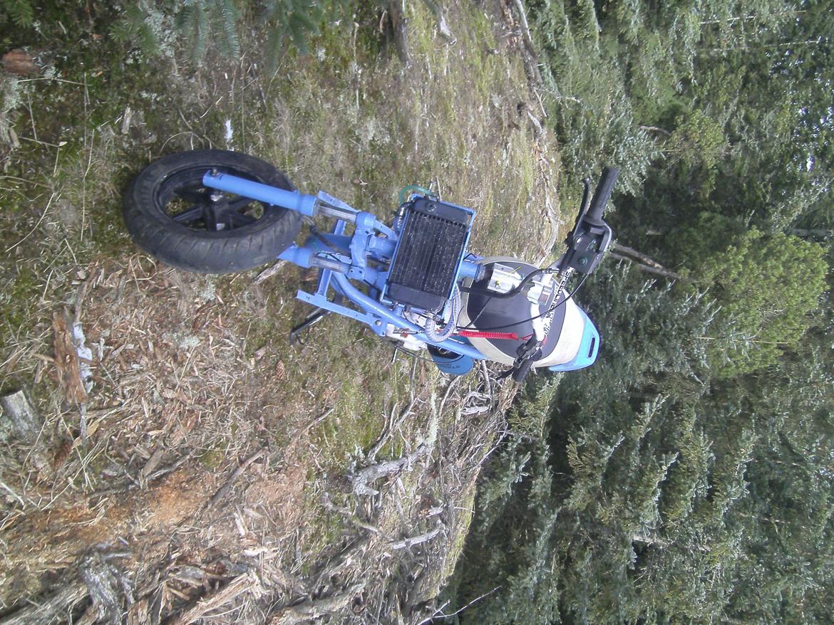 Honda sfx lc "speedline" (Rosekusse) billede 20