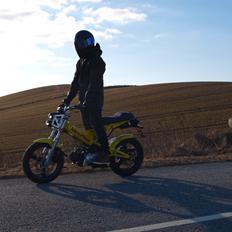 Sachs Madass *BADASS* DK's bedst bedømte