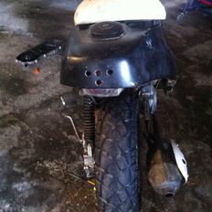 PGO Hot 50 ..Blue Angel..