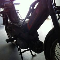 Puch Maxi KL