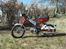 Puch Mini Maxi - Nye billeder 31/03-2013