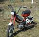 Puch Mini Maxi