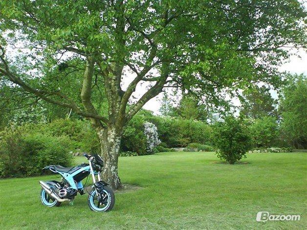 Suzuki Street Magic  billede 2