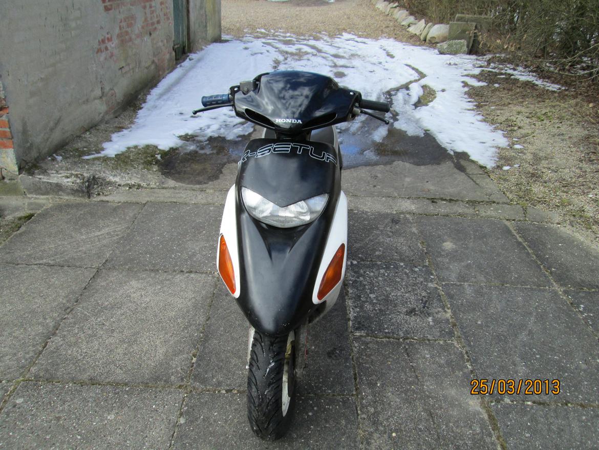 Honda SFX billede 2
