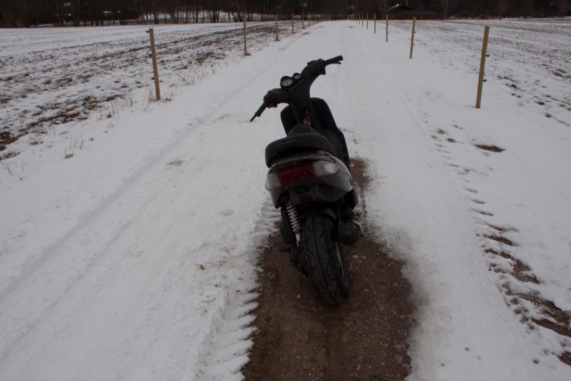 Gilera Stalker billede 4