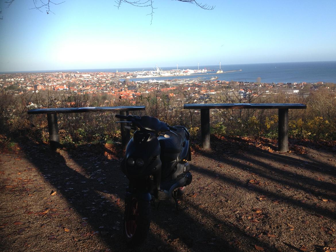 PGO PMX No Fear billede 8