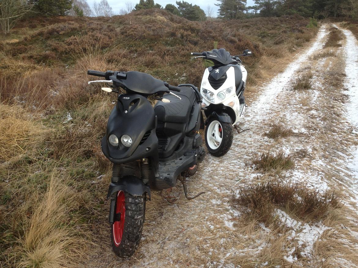 PGO PMX No Fear billede 10