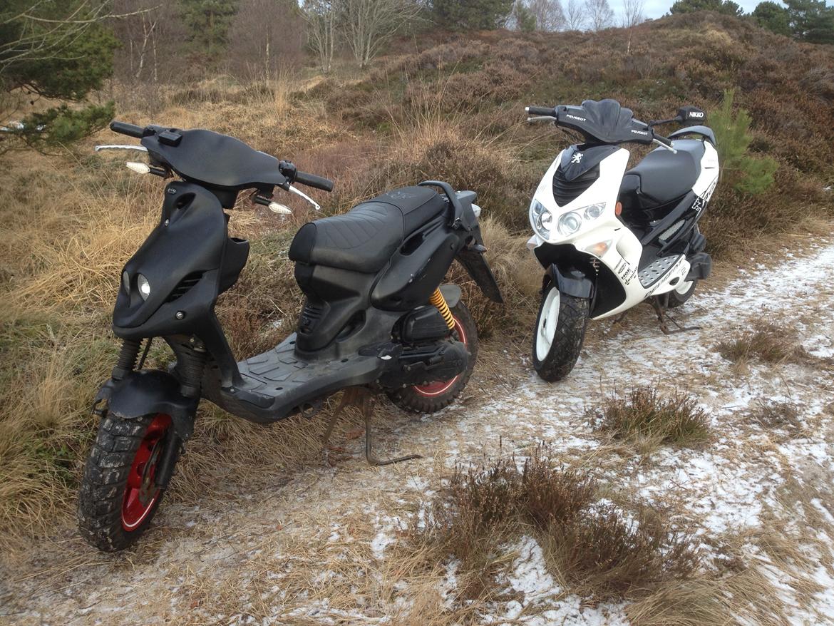 PGO PMX No Fear billede 11