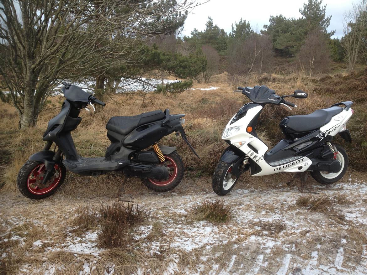 PGO PMX No Fear billede 12