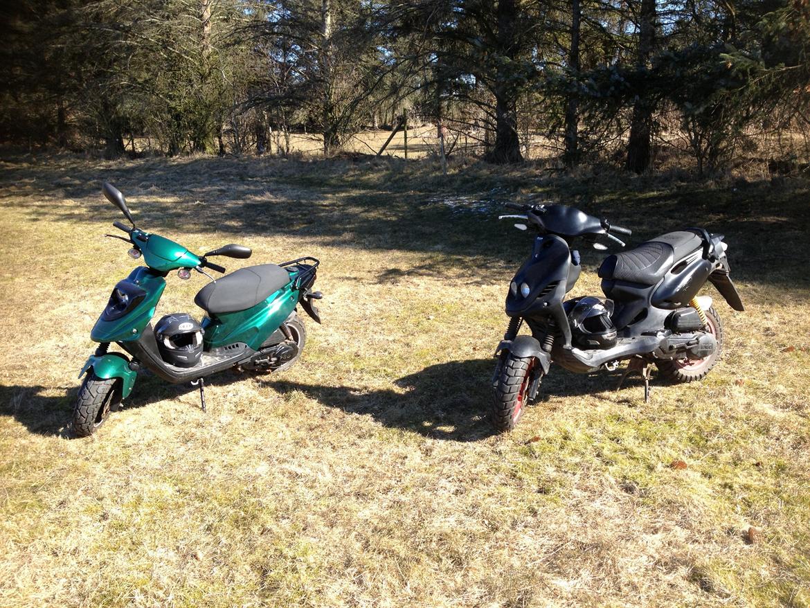 PGO PMX No Fear billede 13