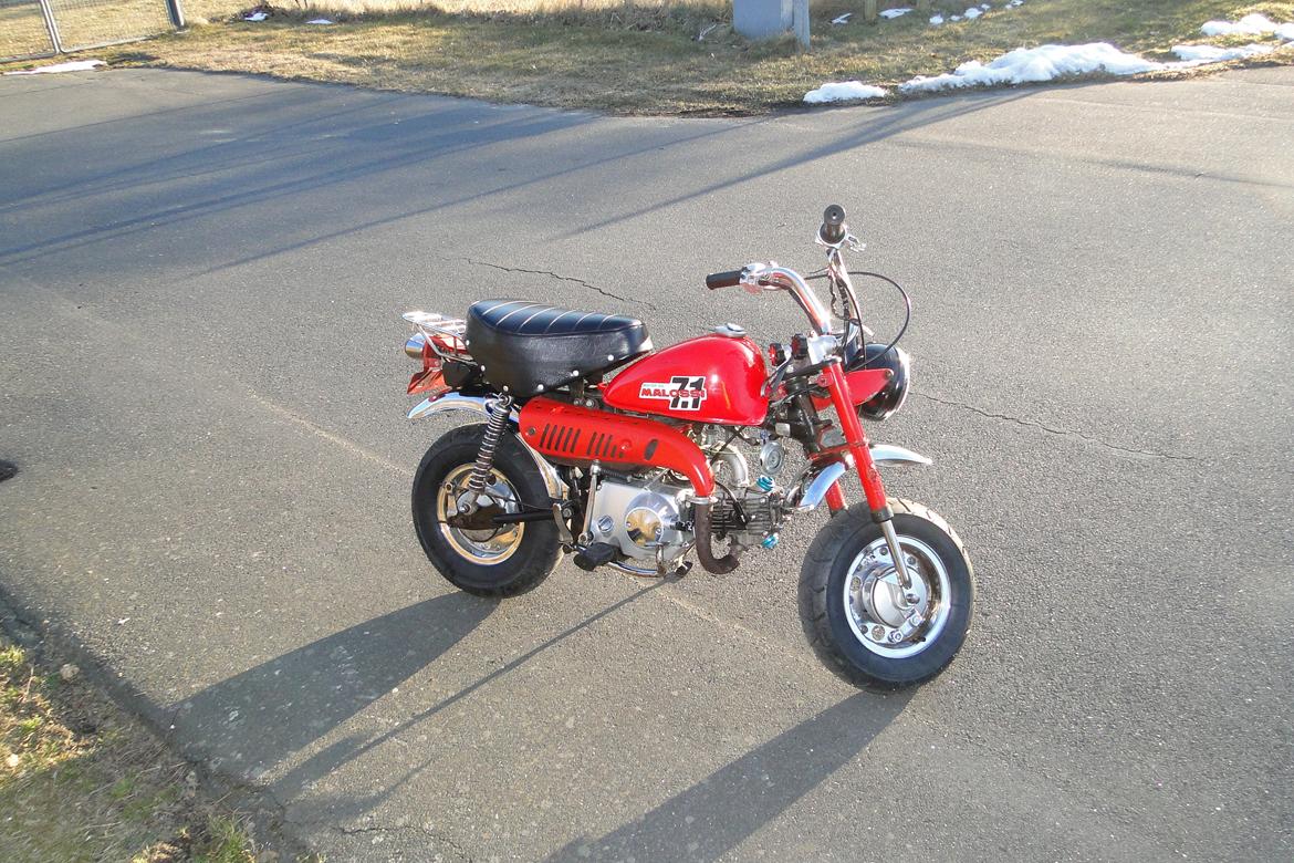 Jincheng Monkey billede 2