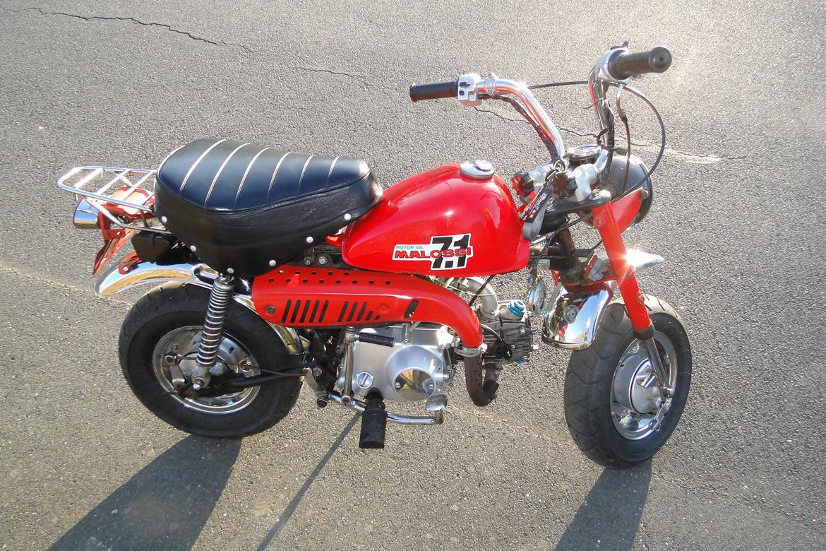 Jincheng Monkey billede 1