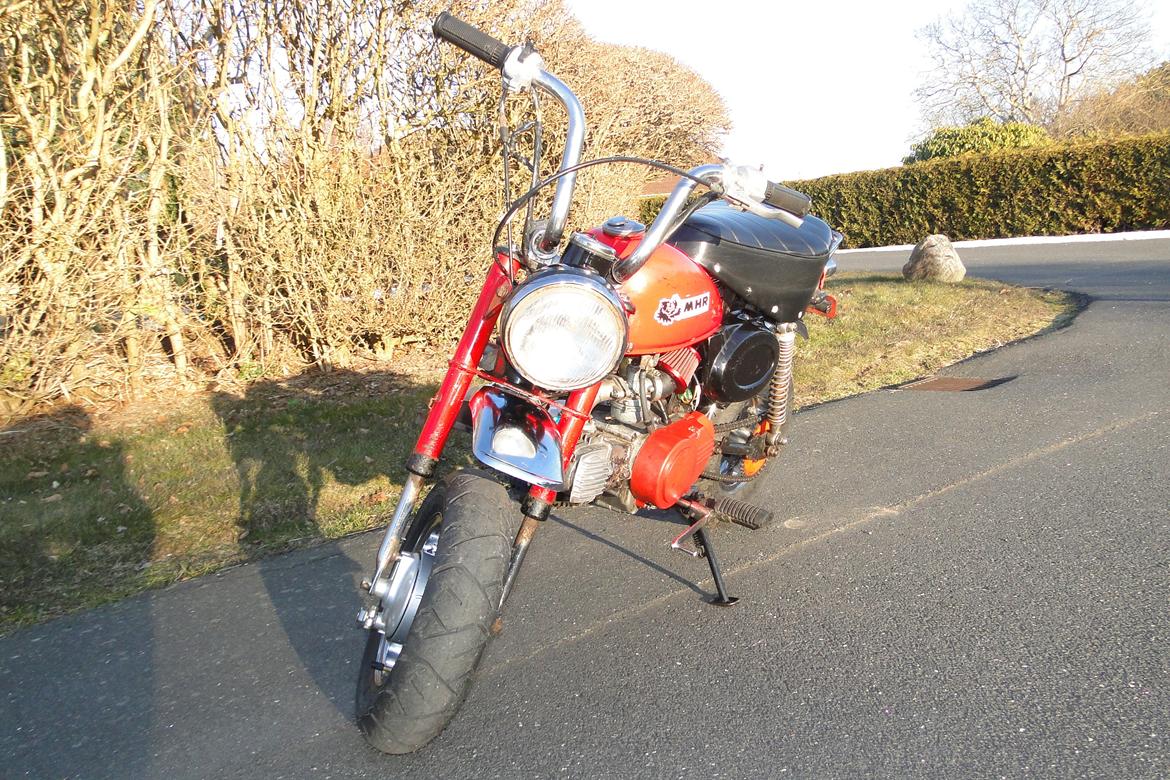 Jincheng Monkey billede 5