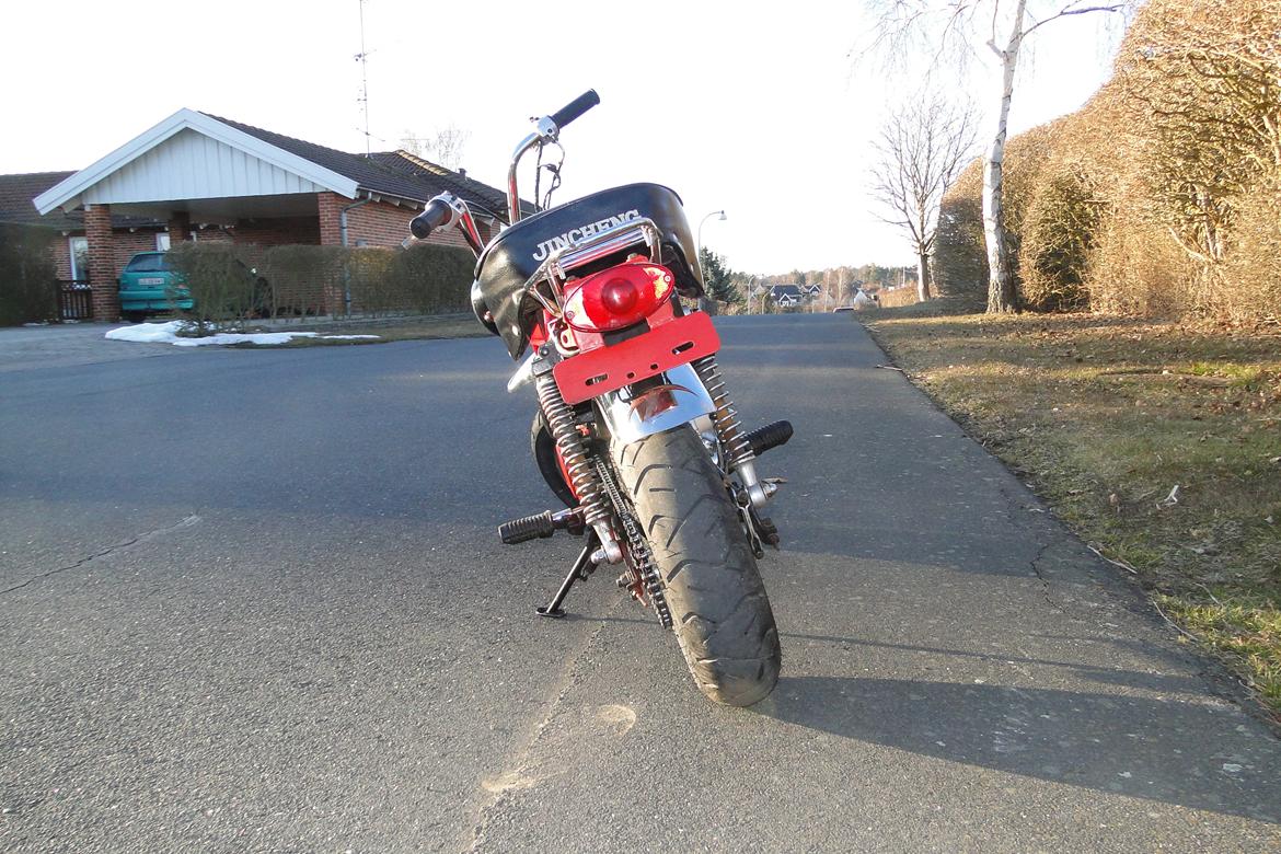 Jincheng Monkey billede 7