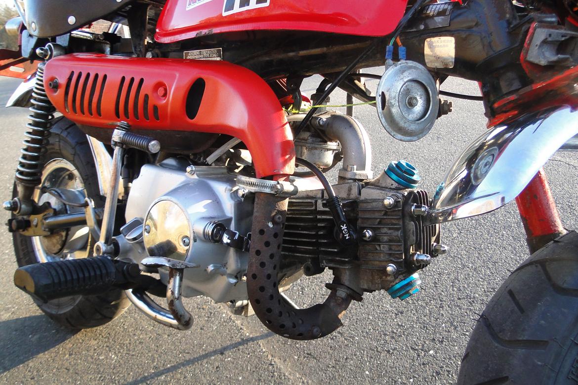 Jincheng Monkey billede 8