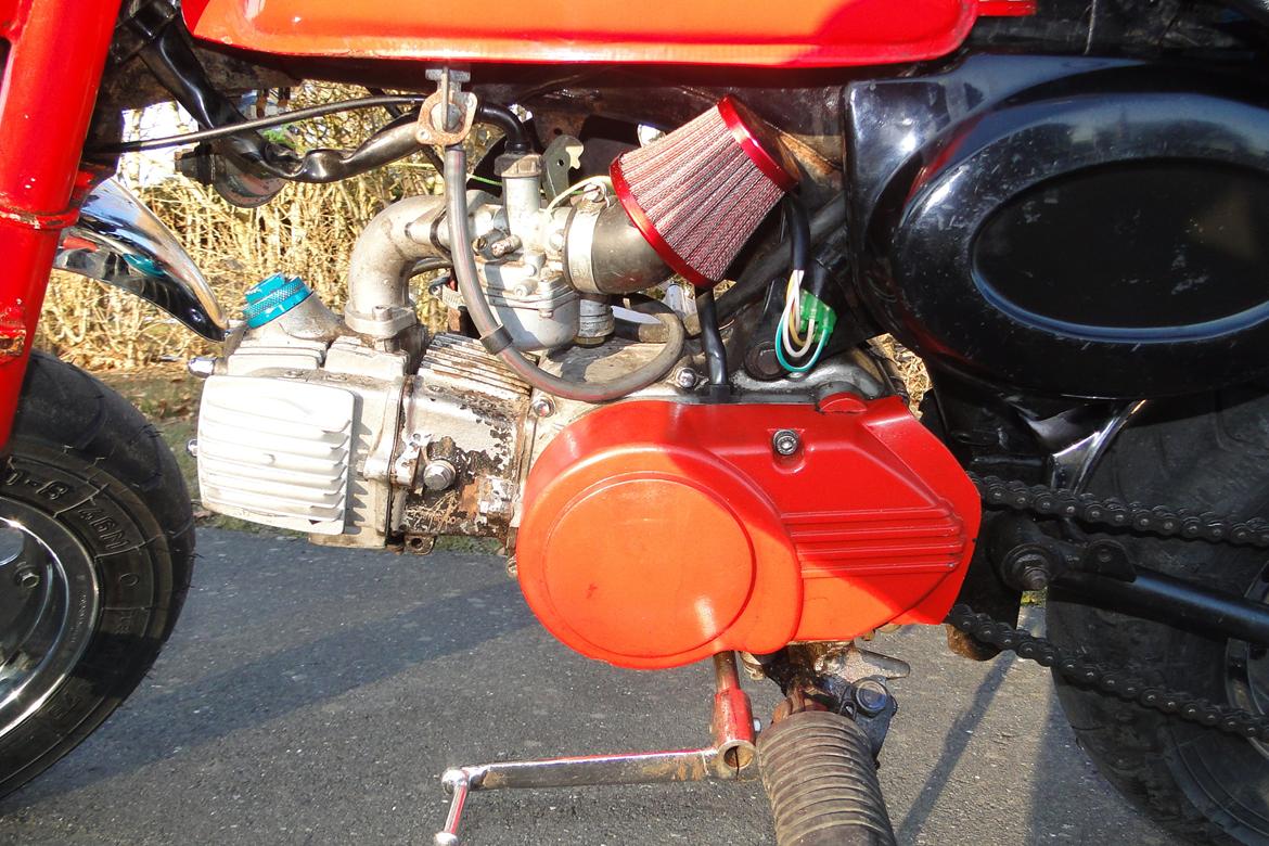 Jincheng Monkey billede 9