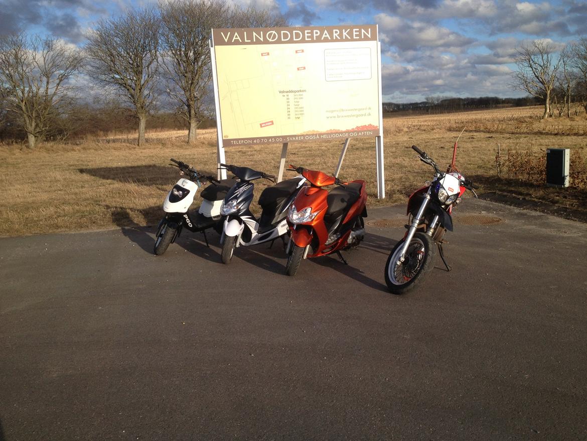 Aprilia SX50 T.I.L.S.A.L.G billede 19