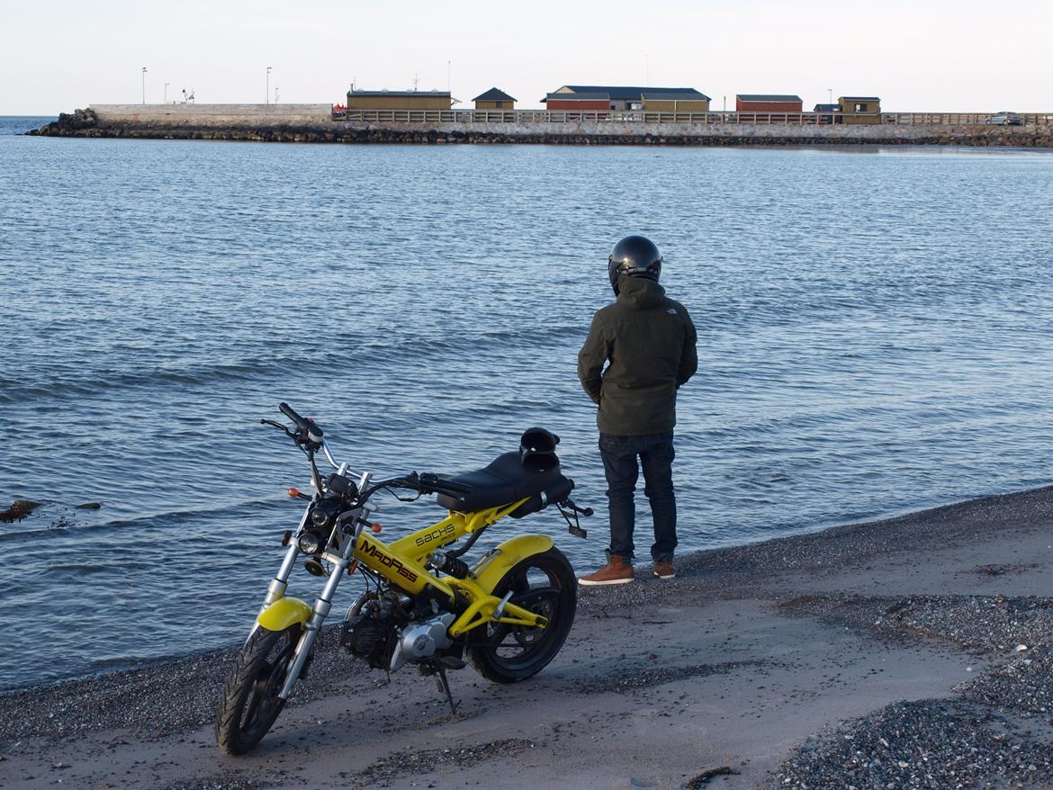 Sachs Madass *BADASS* DK's bedst bedømte - Sku lige pisse under photoshoot billede 14