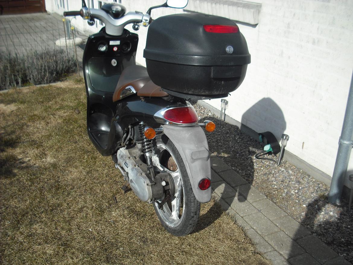 Yamaha Why billede 3