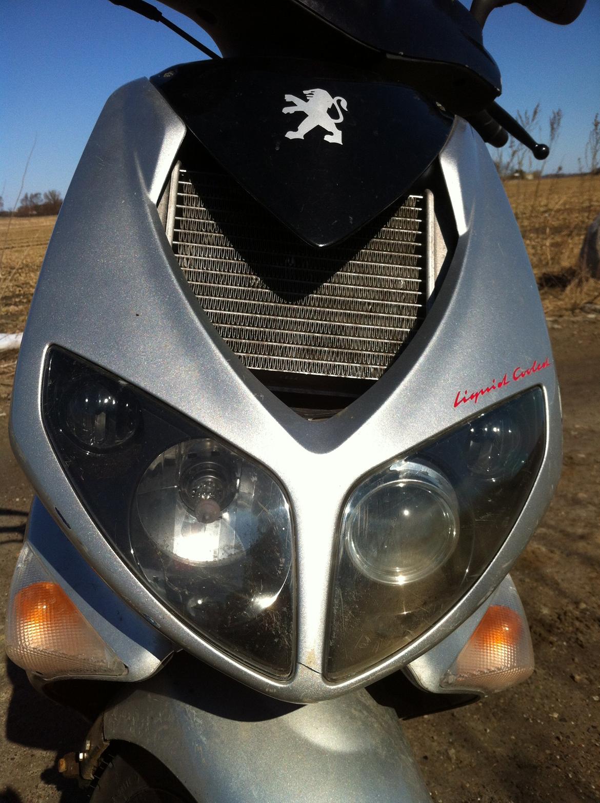 Peugeot Speedfight 2 45'er (Slidte) billede 1