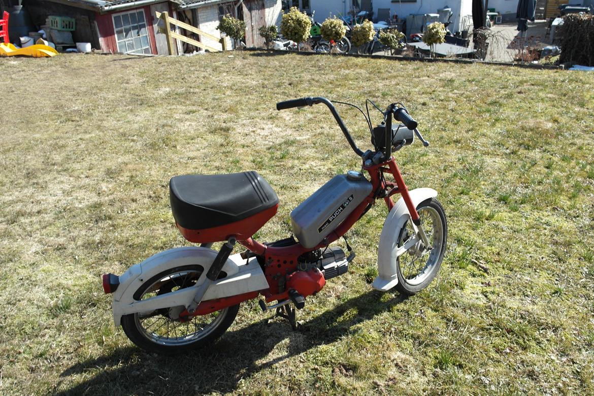 Puch Mini Maxi - Nye billeder 31/03-2013 billede 3