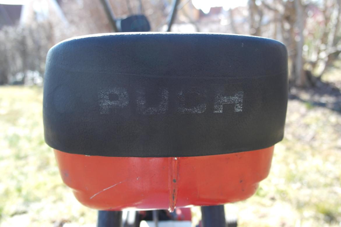 Puch Mini Maxi - Nye billeder 31/03-2013 billede 5