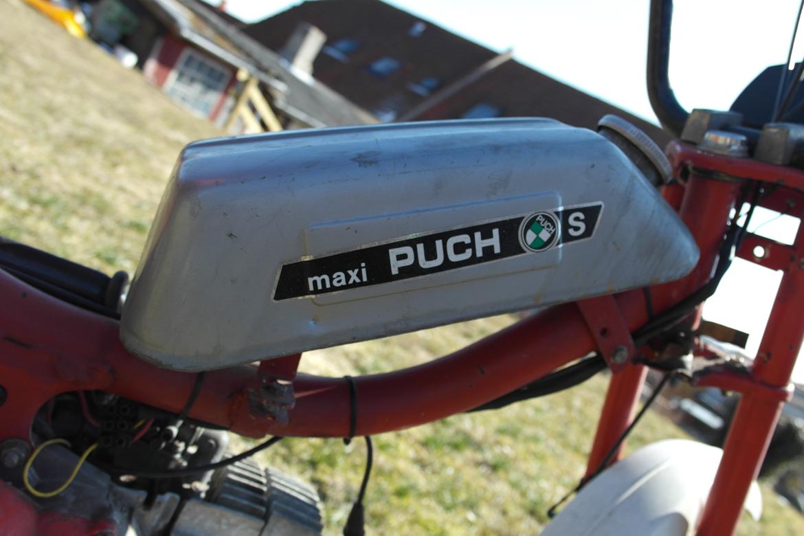 Puch Mini Maxi - Nye billeder 31/03-2013 billede 7