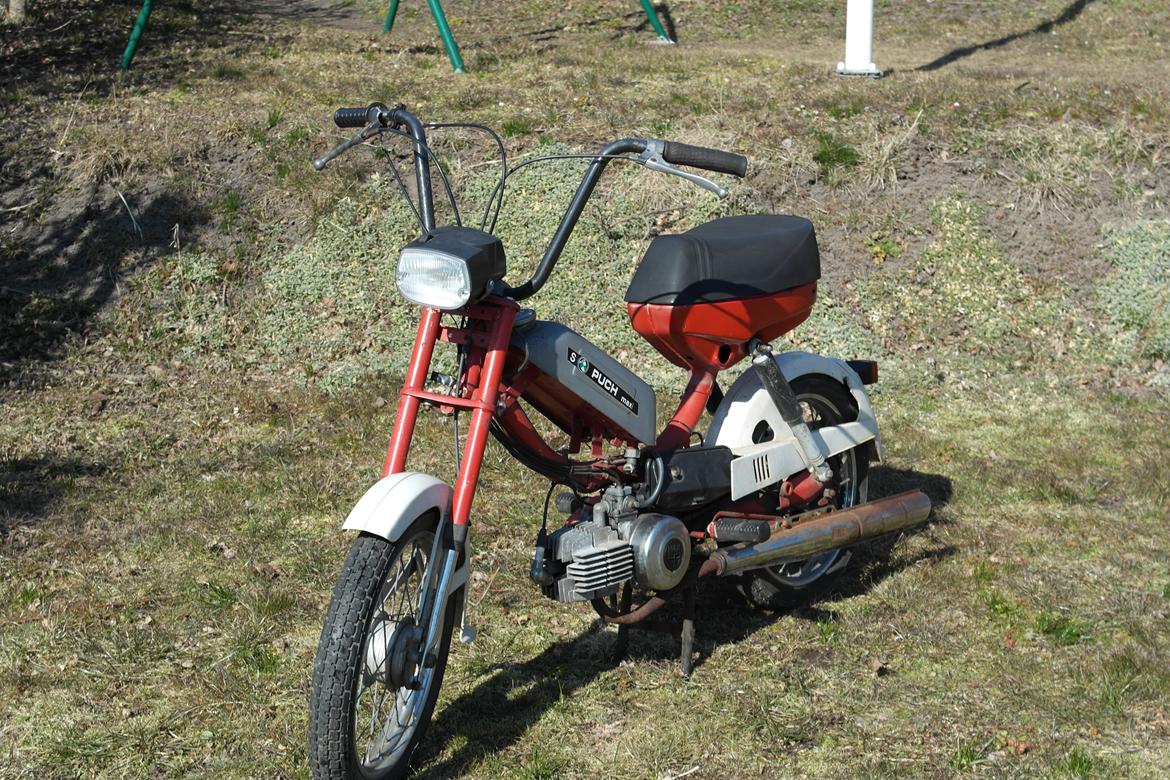 Puch Mini Maxi - Nye billeder 31/03-2013 billede 1