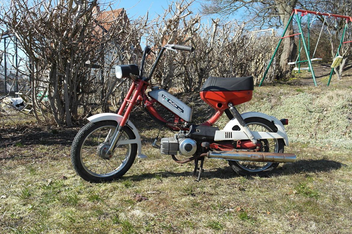 Puch Mini Maxi - Nye billeder 31/03-2013 billede 8