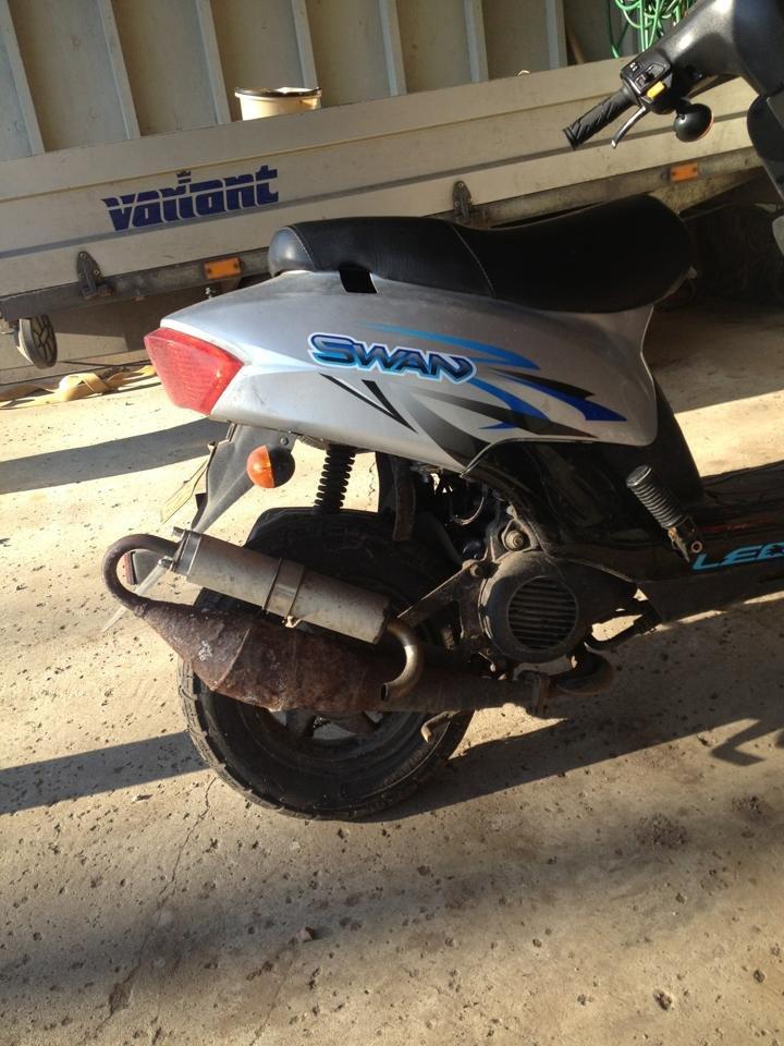 Leone Swan - Før c16 billede 3