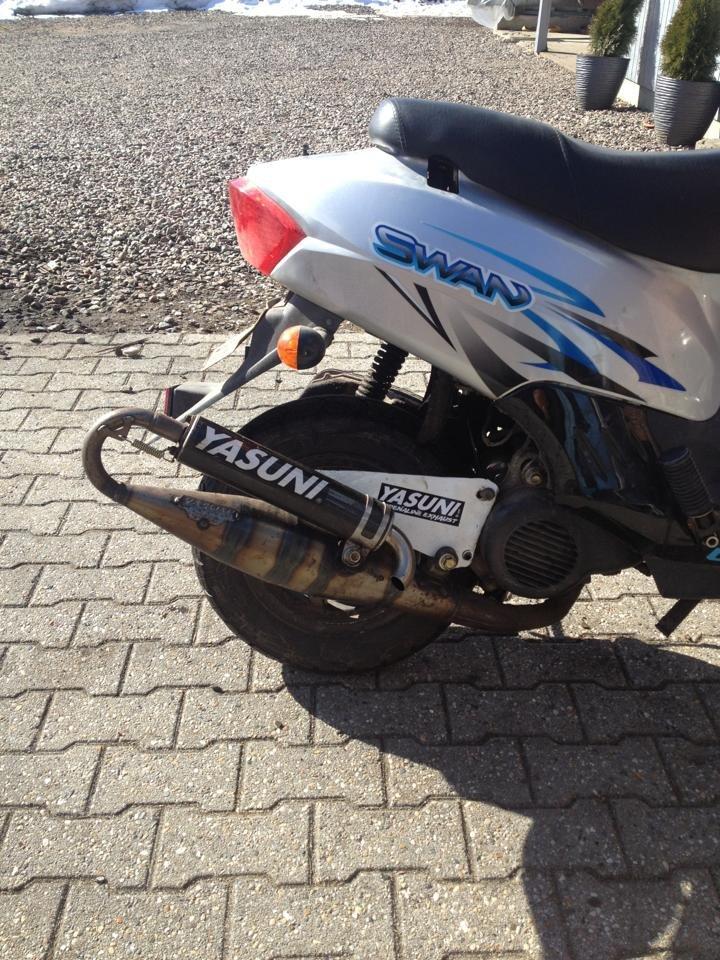 Leone Swan - Nu med c16 billede 2