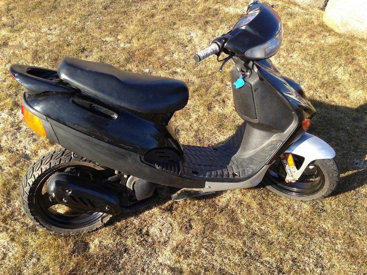 Adly TMP Baboon billede 3