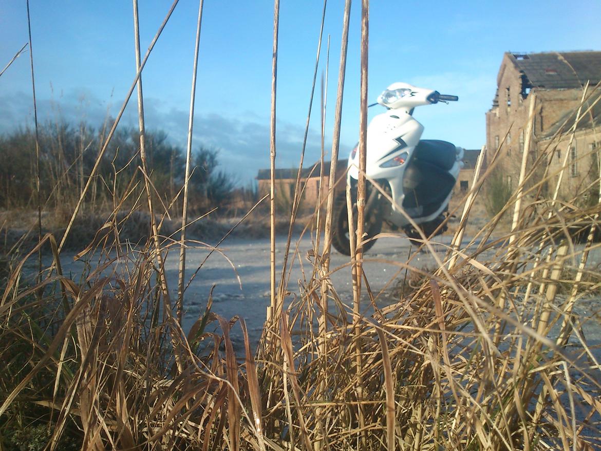 PGO Ligero Black/White Magic billede 7