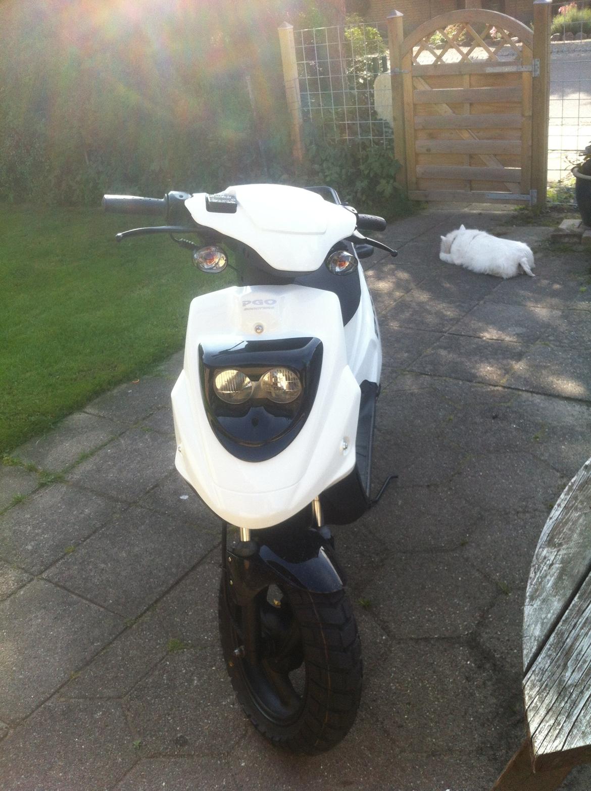 PGO Hot 50 billede 5