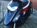 Honda Sfx - STD