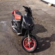 PGO pmx