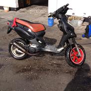 PGO pmx