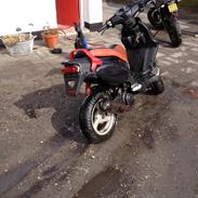 PGO pmx