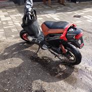 PGO pmx