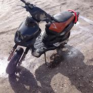 PGO pmx